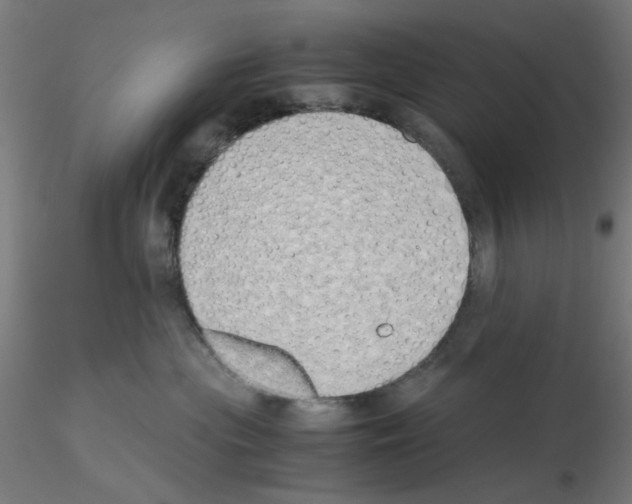 X0000115620477200912221232