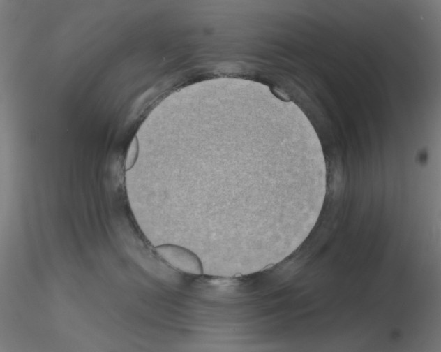 X0000115620478200912221232