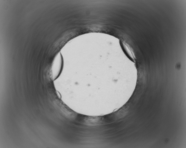 X0000115620479200912221232