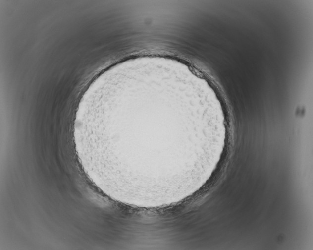 X0000115620481200912221231