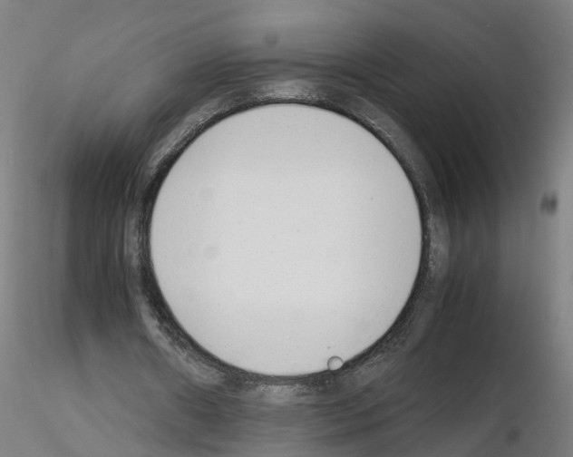 X0000115620482200912221231