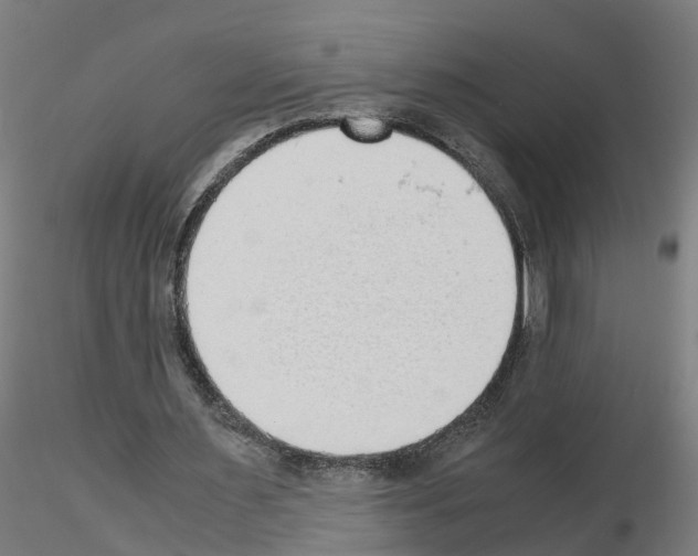 X0000115620483200912221231