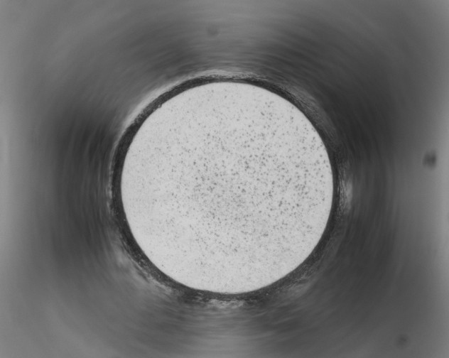 X0000115620484200912221231