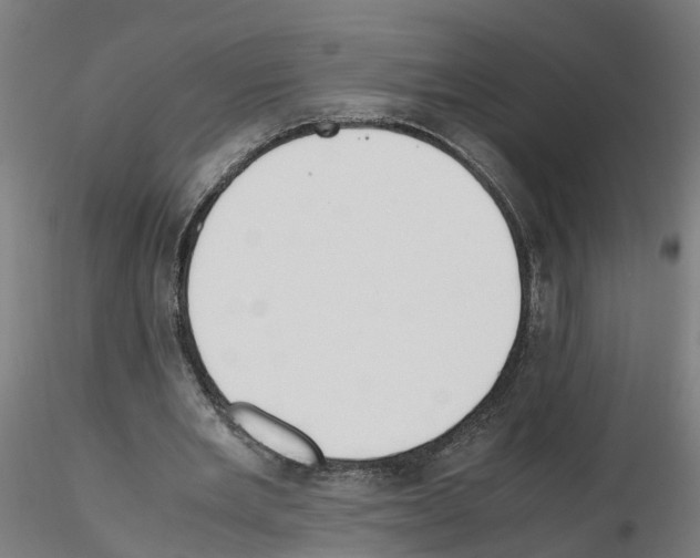 X0000115620485200912221231