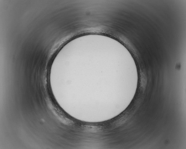 X0000115620486200912221231