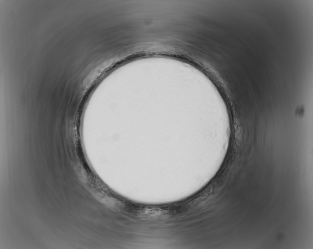 X0000115620487200912221231