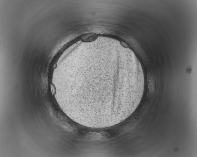 X0000115620488200912221231