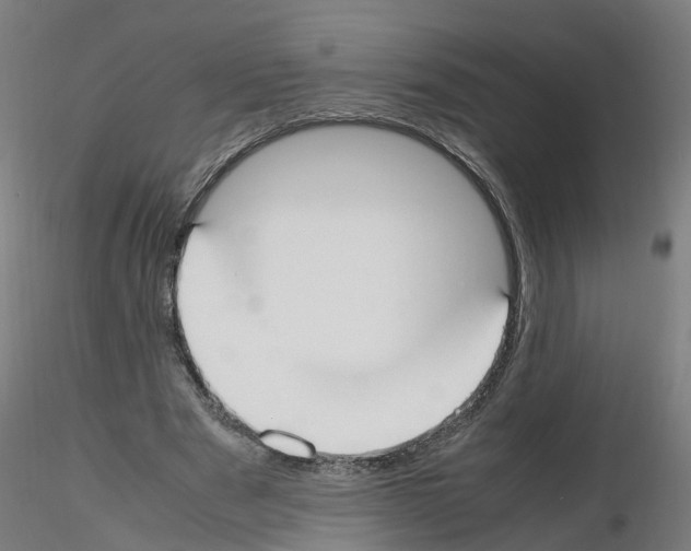 X0000115620489200912221231