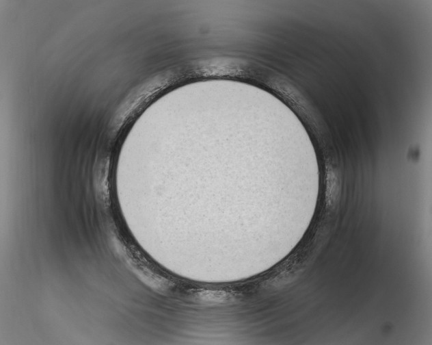 X0000115620490200912221231