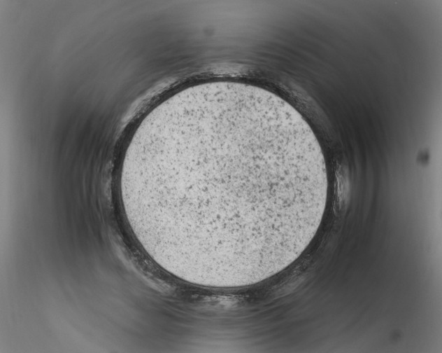 X0000115620492200912221231