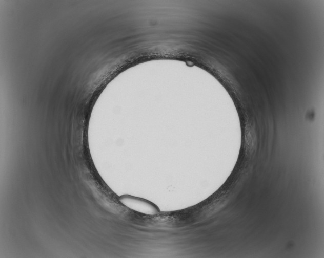 X0000115620493200912221231