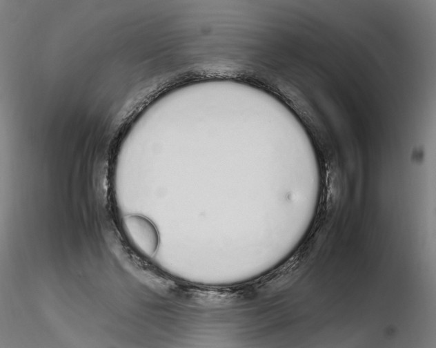 X0000115620494200912221231