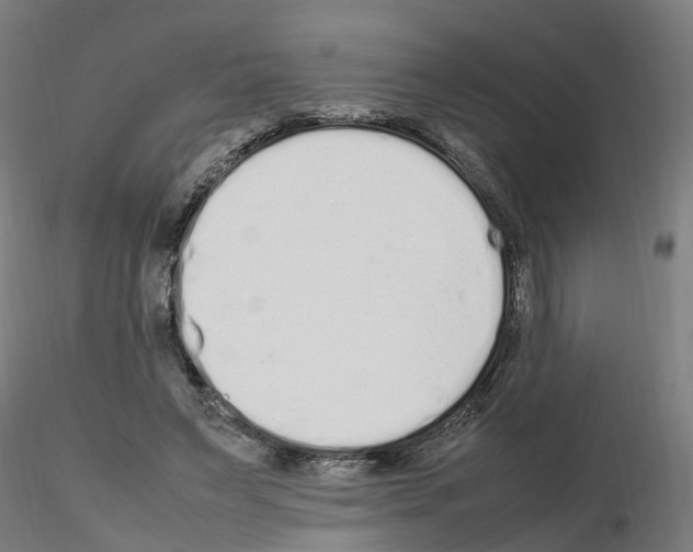 X0000115620495200912221231