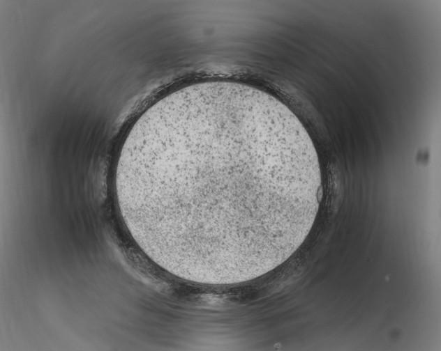 X0000115620496200912221231
