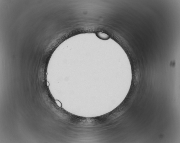 X0000115620497200912221231