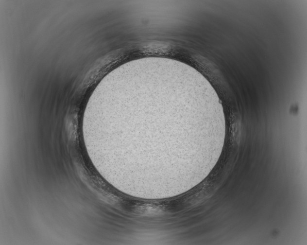 X0000115620498200912221231