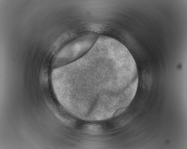 X0000115620500200912221231