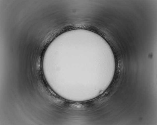 X0000115620502200912221231