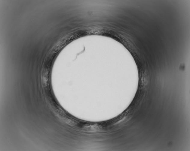X0000115620503200912221231