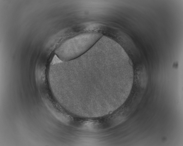 X0000115620504200912221231