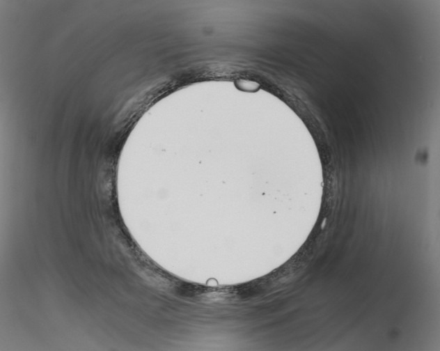X0000115620505200912221231