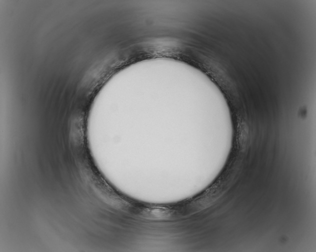 X0000115620506200912221231