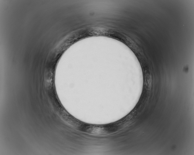 X0000115620507200912221231