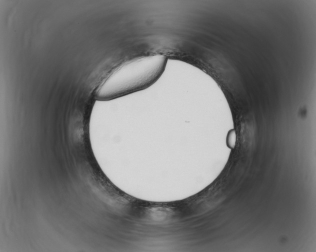 X0000115620508200912221231