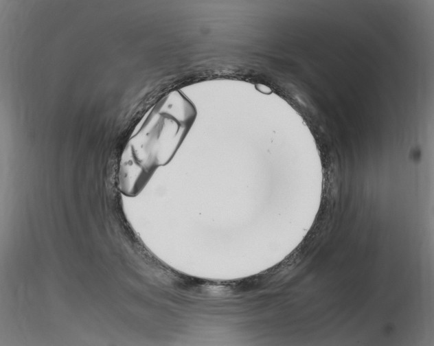 X0000115620509200912221231