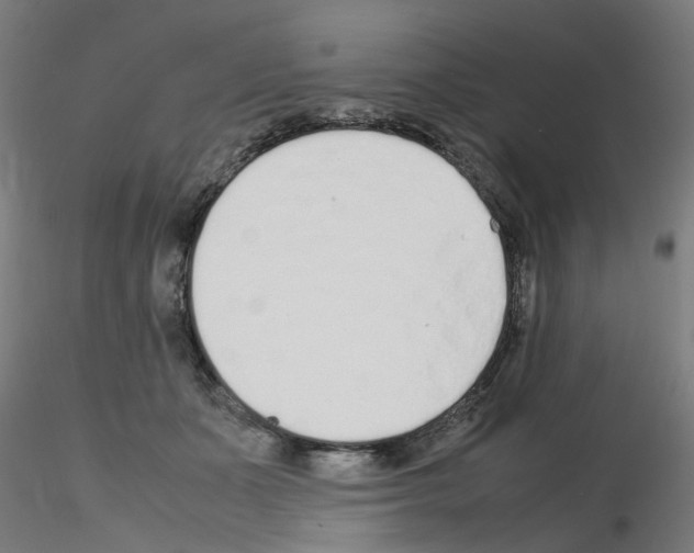 X0000115620511200912221231