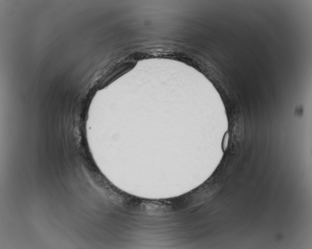 X0000115620512200912221231