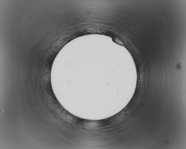 X0000115620513200912221231