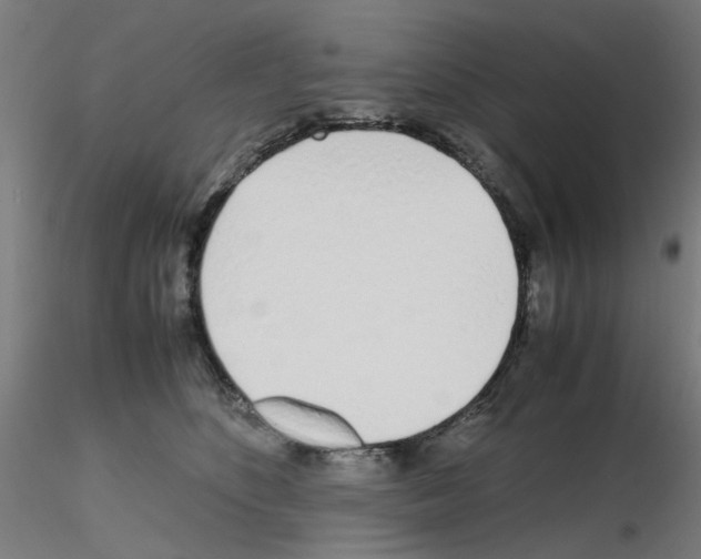 X0000115620516200912221231