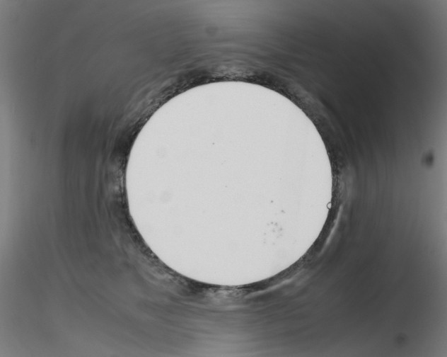 X0000115620517200912221231