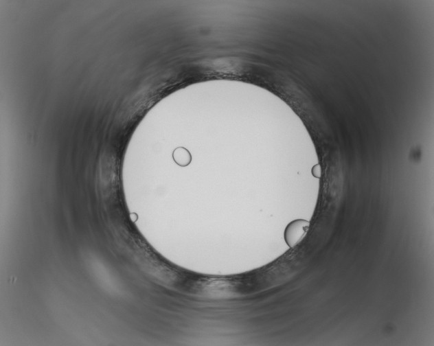 X0000115620518200912221231