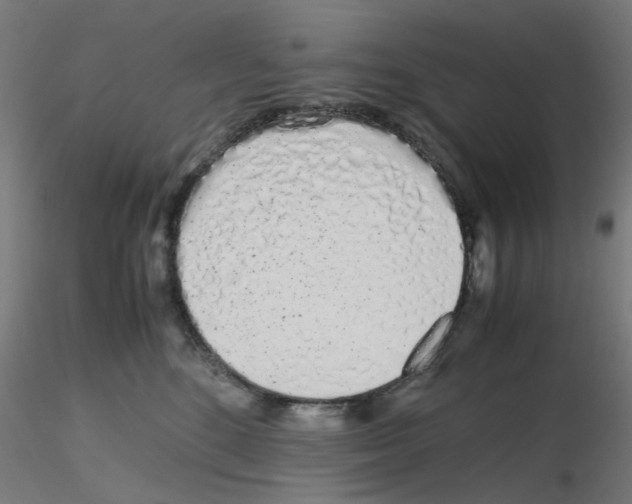 X0000115620520200912221231