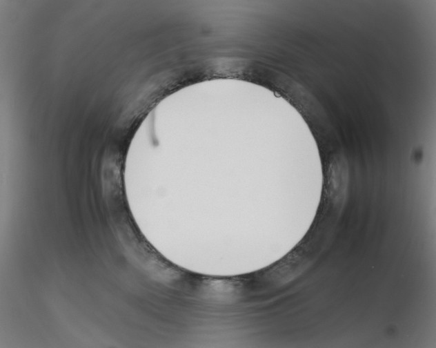X0000115620522200912221231