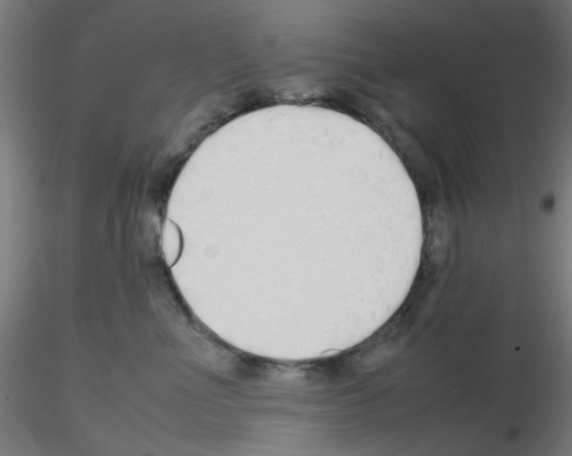 X0000115620523200912221231
