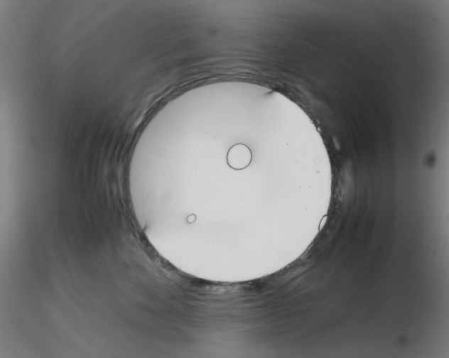 X0000115620524200912221231