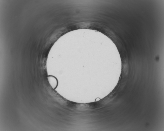 X0000115620525200912221231