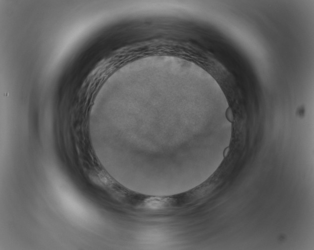 X0000115620526200912221231