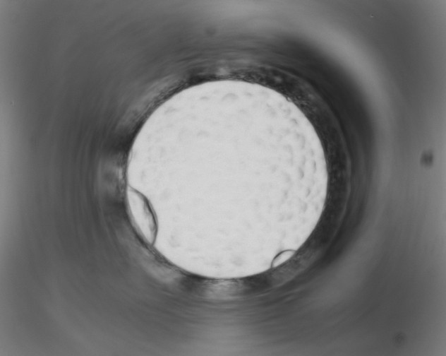 X0000115620527200912221231