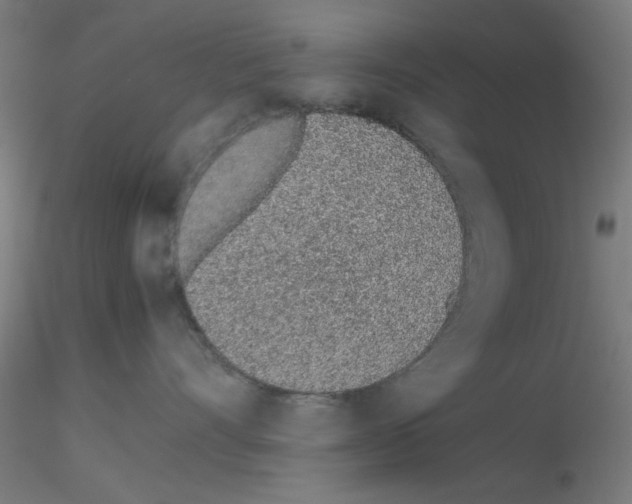 X0000115620528200912221231