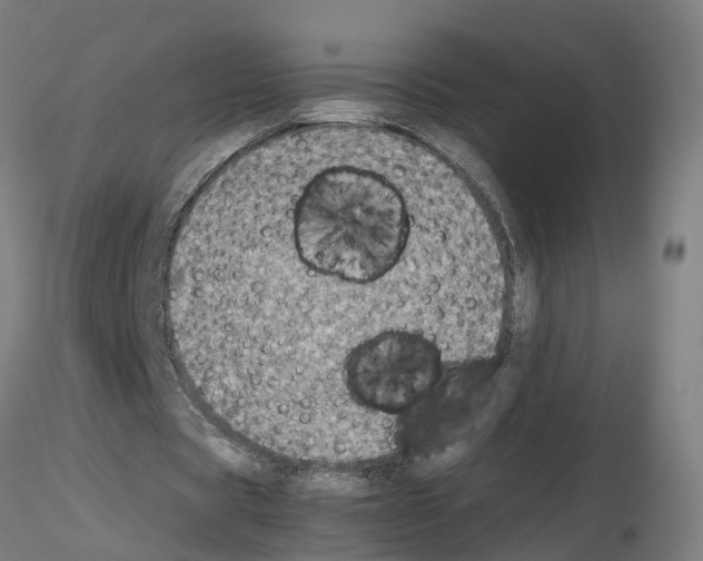 X0000115620529200912221230