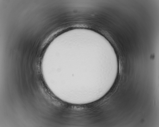 X0000115620531200912221230