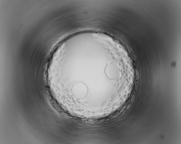 X0000115620534200912221230