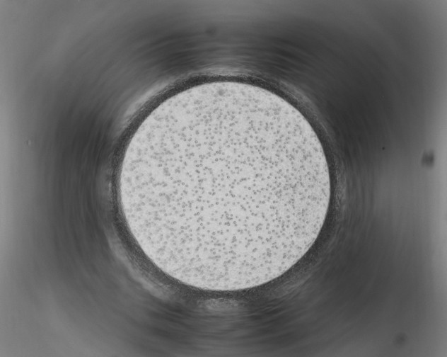 X0000115620535200912221230
