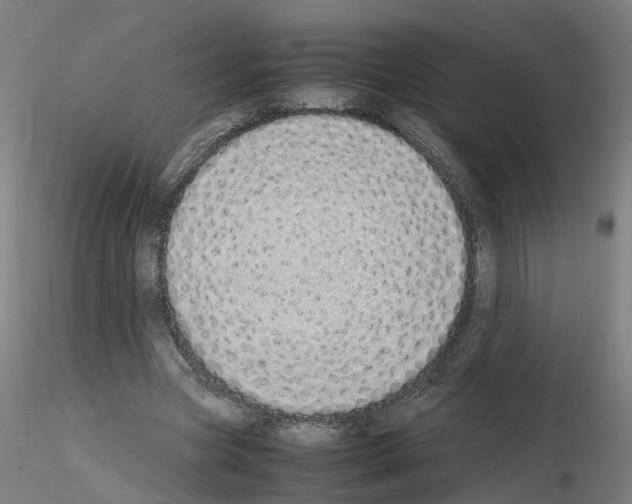 X0000115620537200912221230
