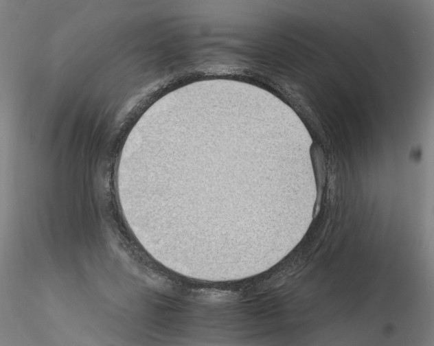 X0000115620539200912221230