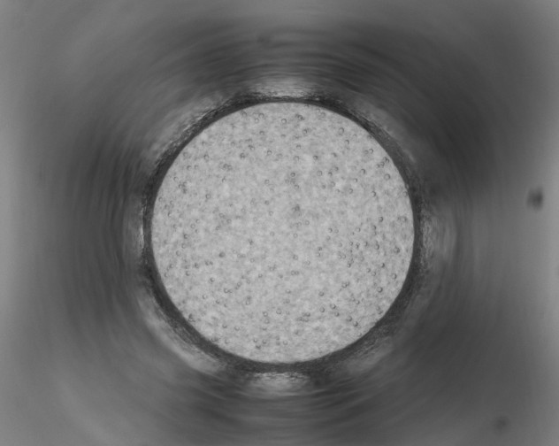 X0000115620541200912221230